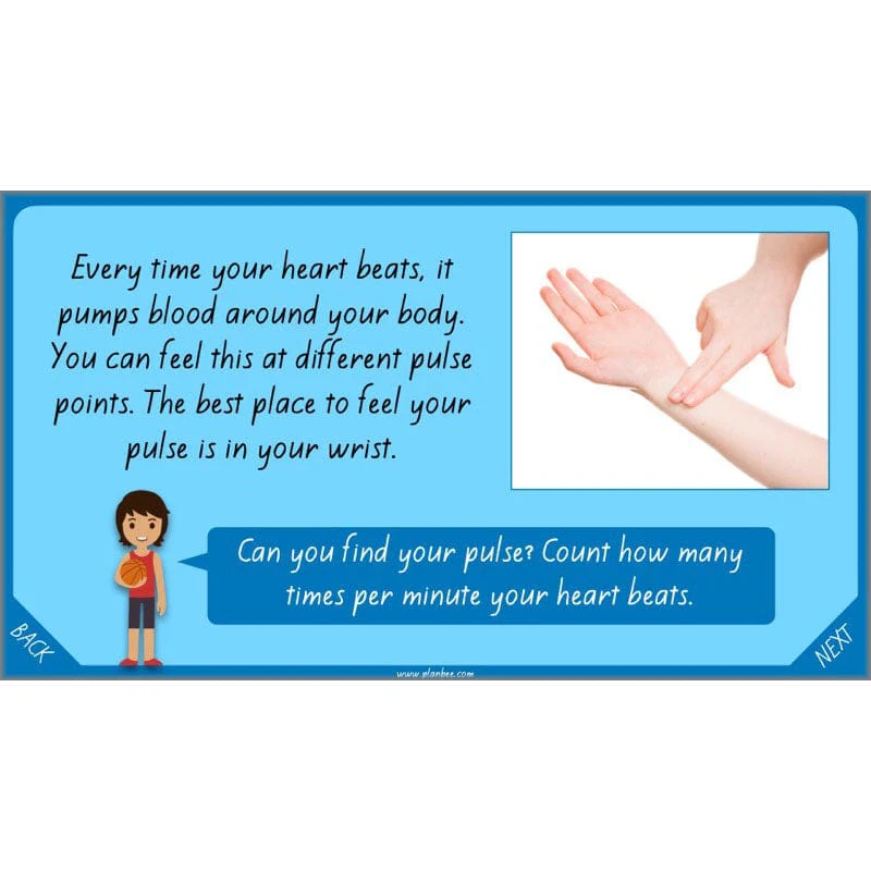Healthy Bodies - Image 43