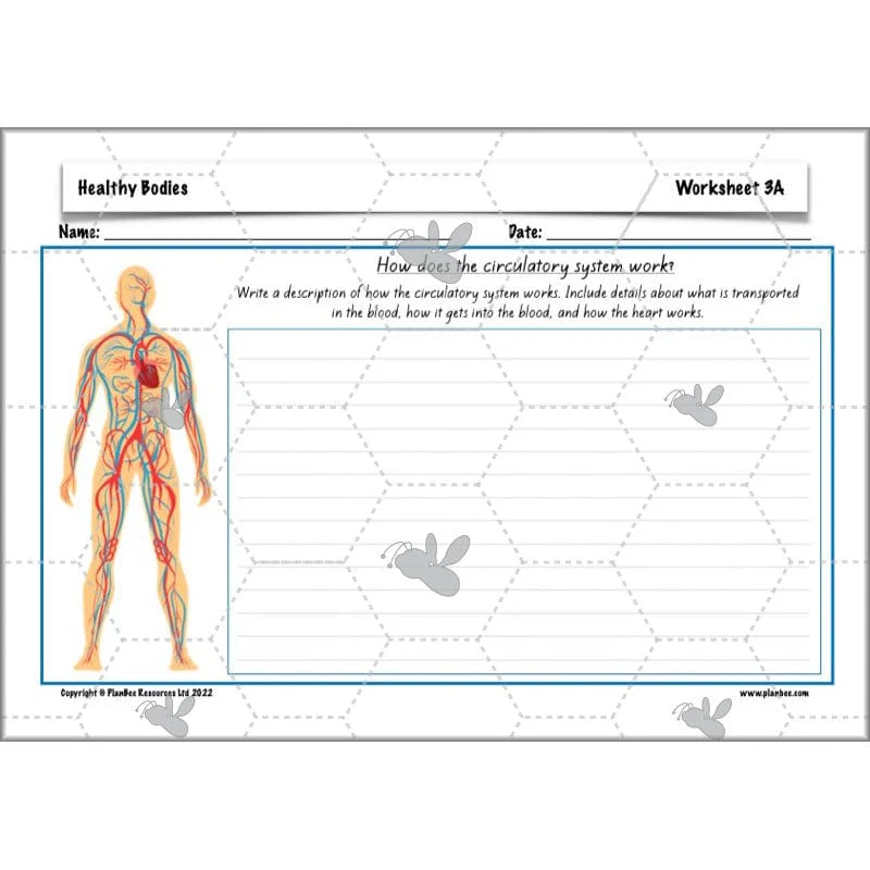 Healthy Bodies - Image 44