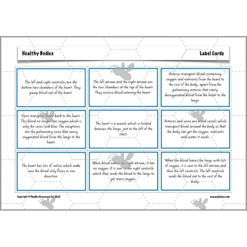 Healthy Bodies - Image 45