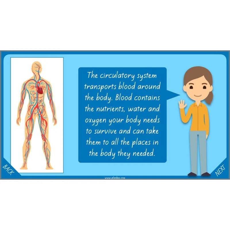 Healthy Bodies - Image 49