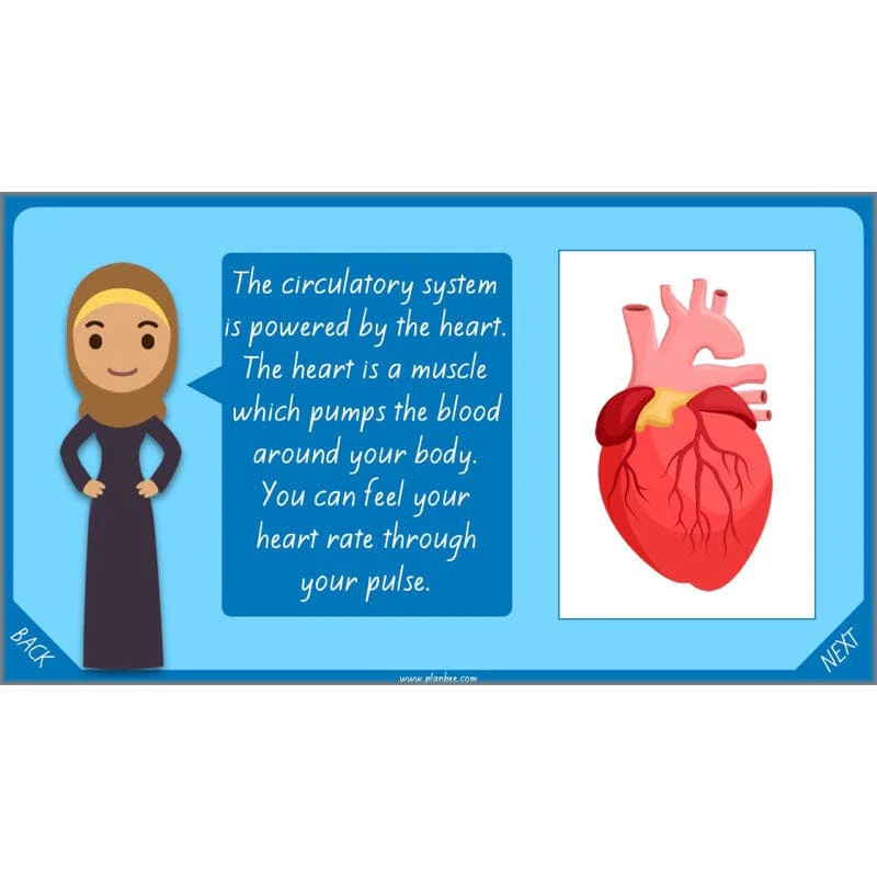 Healthy Bodies - Image 6