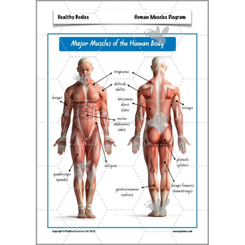 Healthy Bodies - Image 62