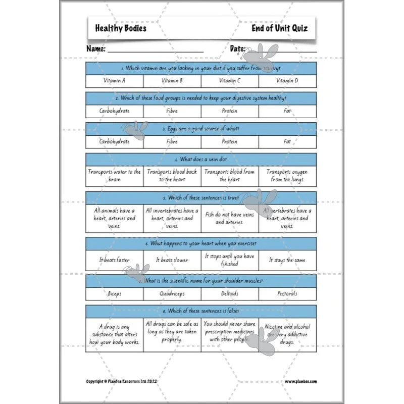 Healthy Bodies - Image 80