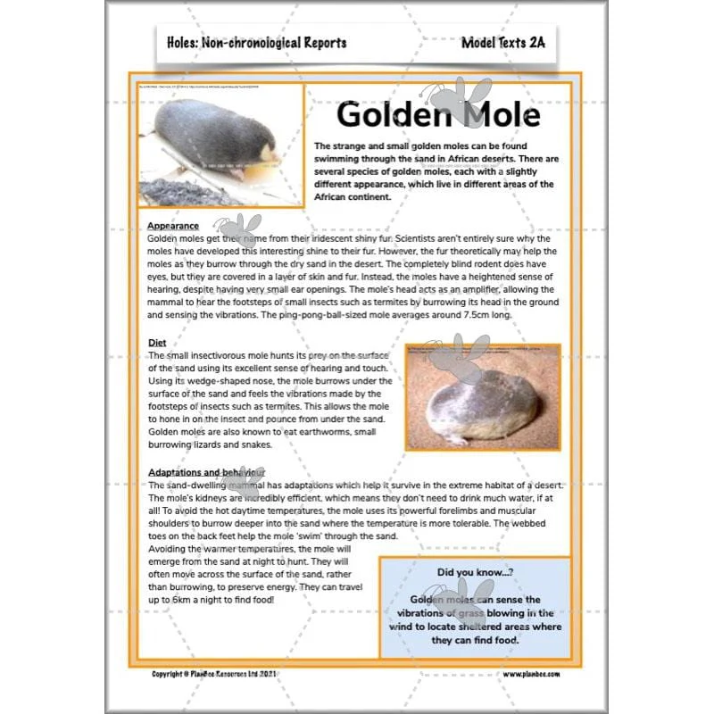 Holes: Non-chronological Reports - Image 11