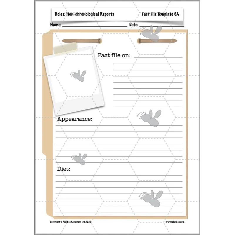 Holes: Non-chronological Reports - Image 13