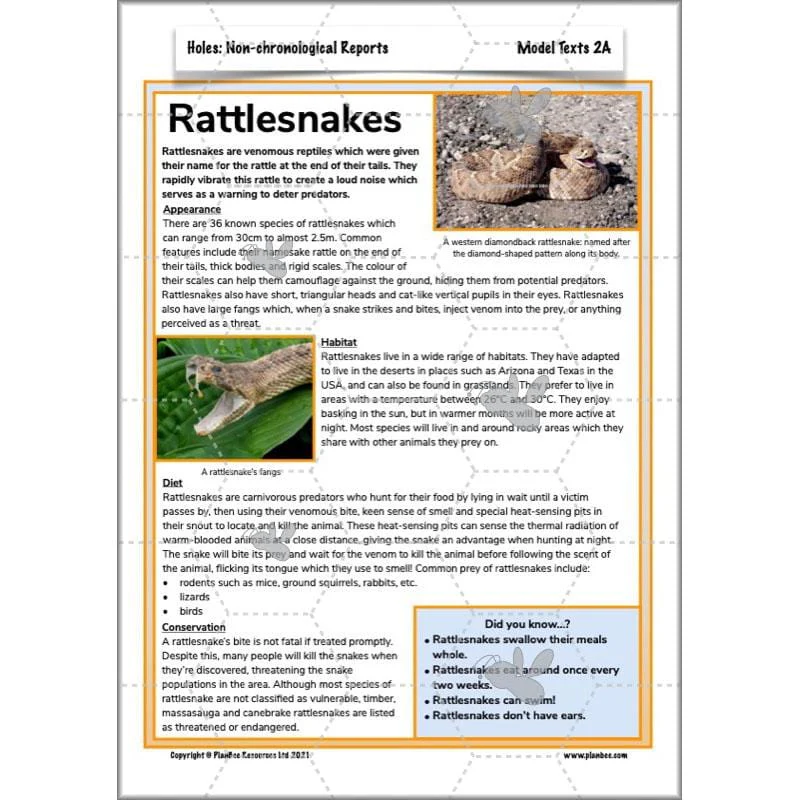 Holes: Non-chronological Reports - Image 37