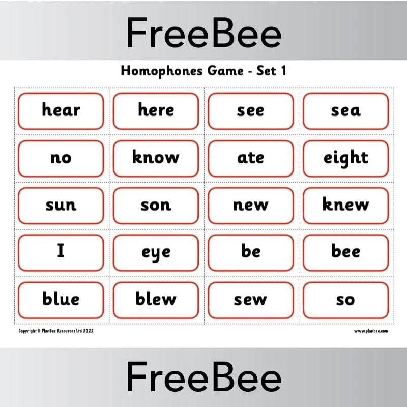 Homophones Game