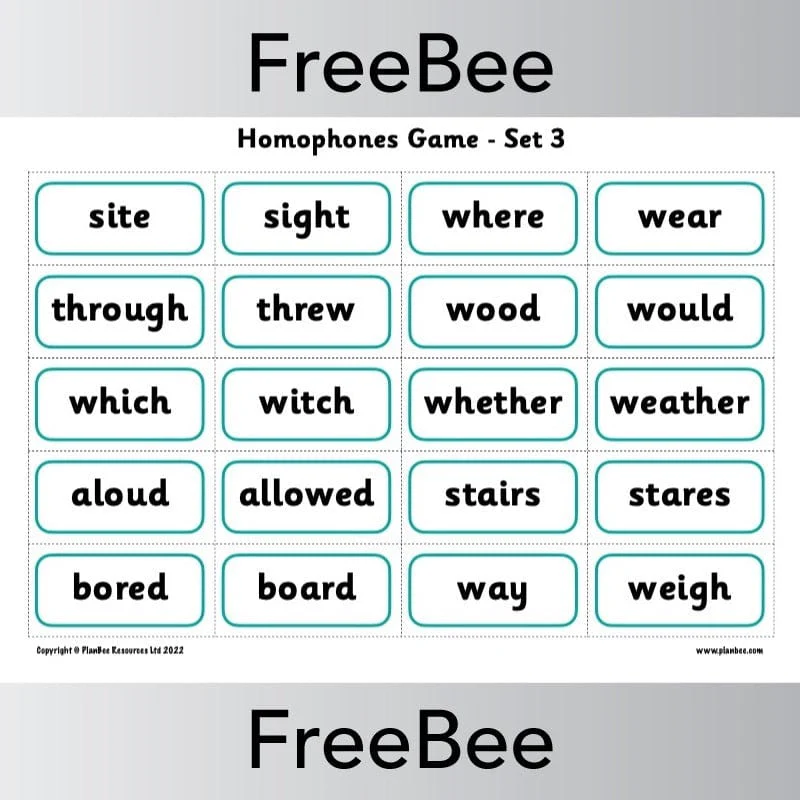 Homophones Game - Image 3
