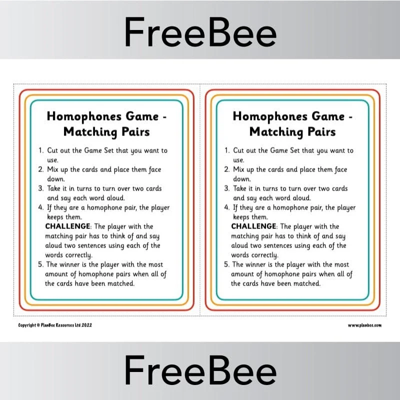 Homophones Game - Image 4