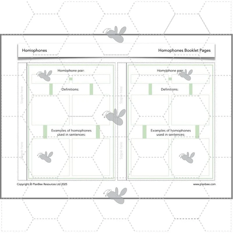 Homophones KS2 - Image 8