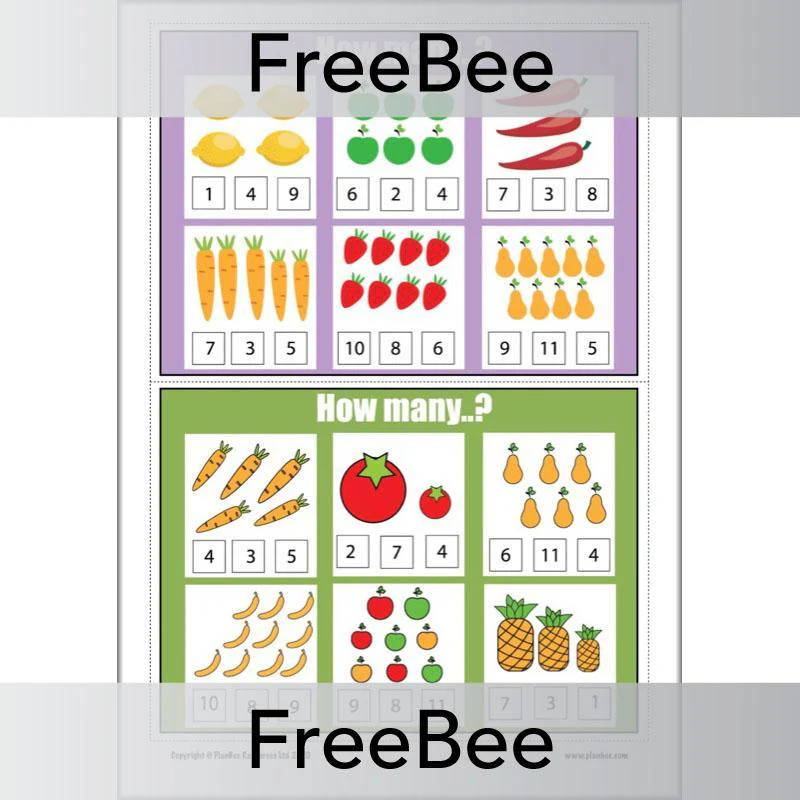How Many...? KS1 Counting Cards - Image 2
