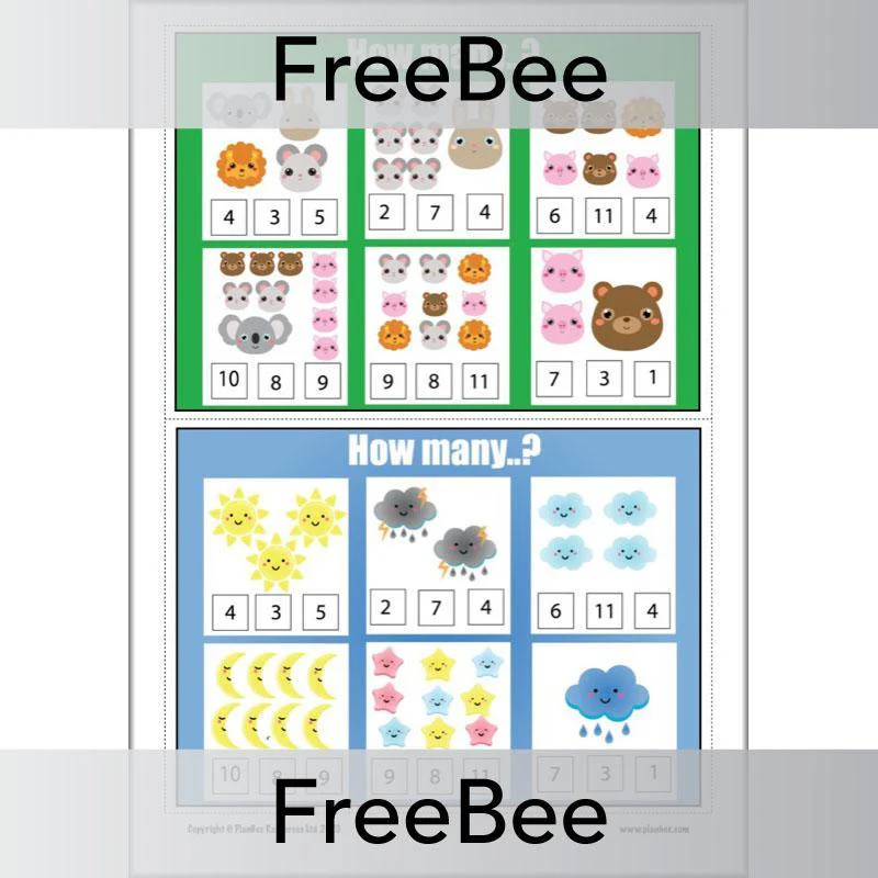 How Many...? KS1 Counting Cards - Image 5