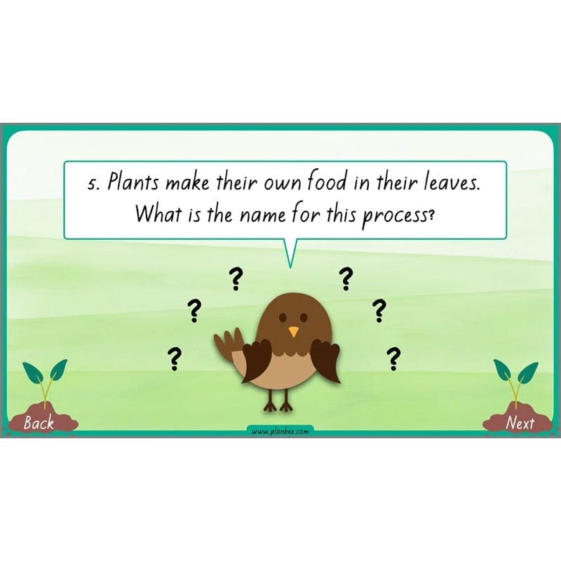 How Plants Grow - Image 10