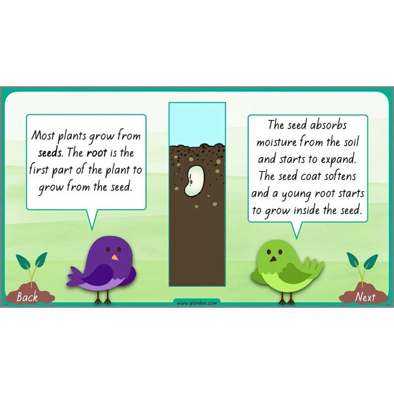 How Plants Grow - Image 22