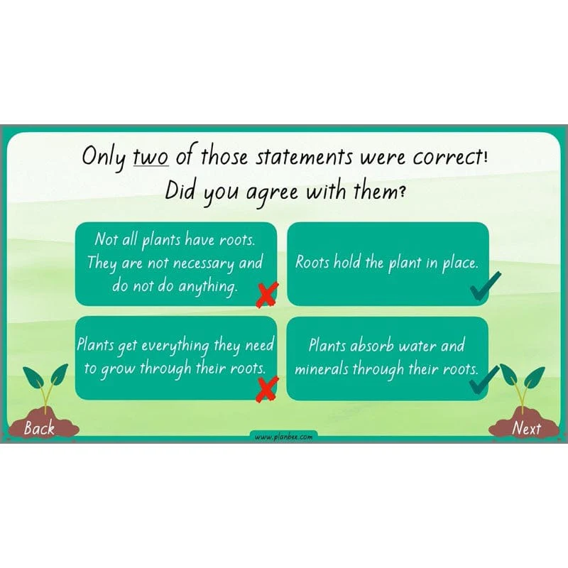 How Plants Grow - Image 23