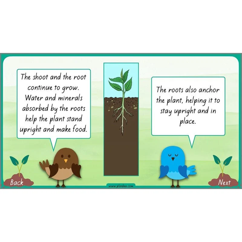 How Plants Grow - Image 24
