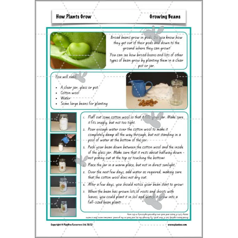 How Plants Grow - Image 27