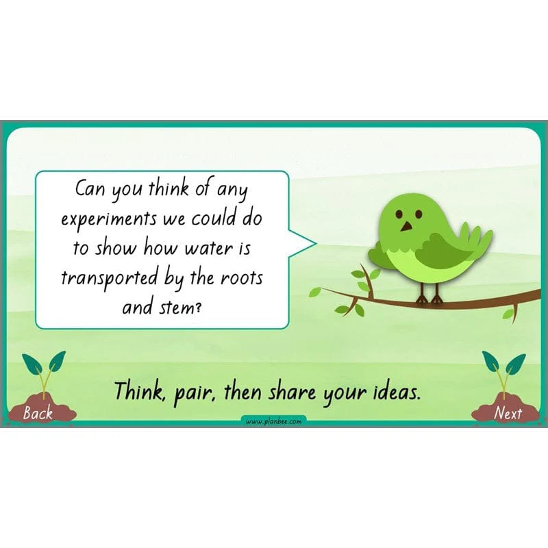 How Plants Grow - Image 32