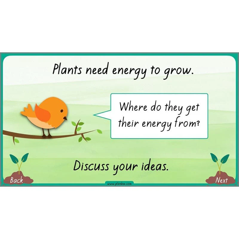How Plants Grow - Image 37