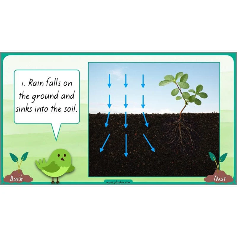 How Plants Grow - Image 4