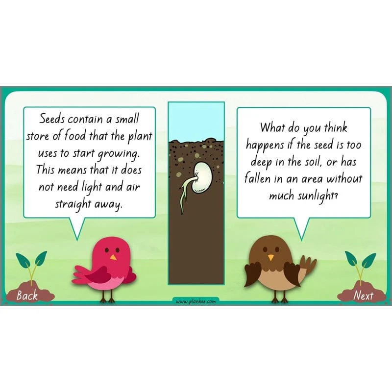 How Plants Grow - Image 40
