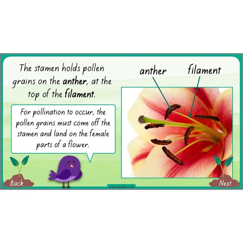 How Plants Grow - Image 46