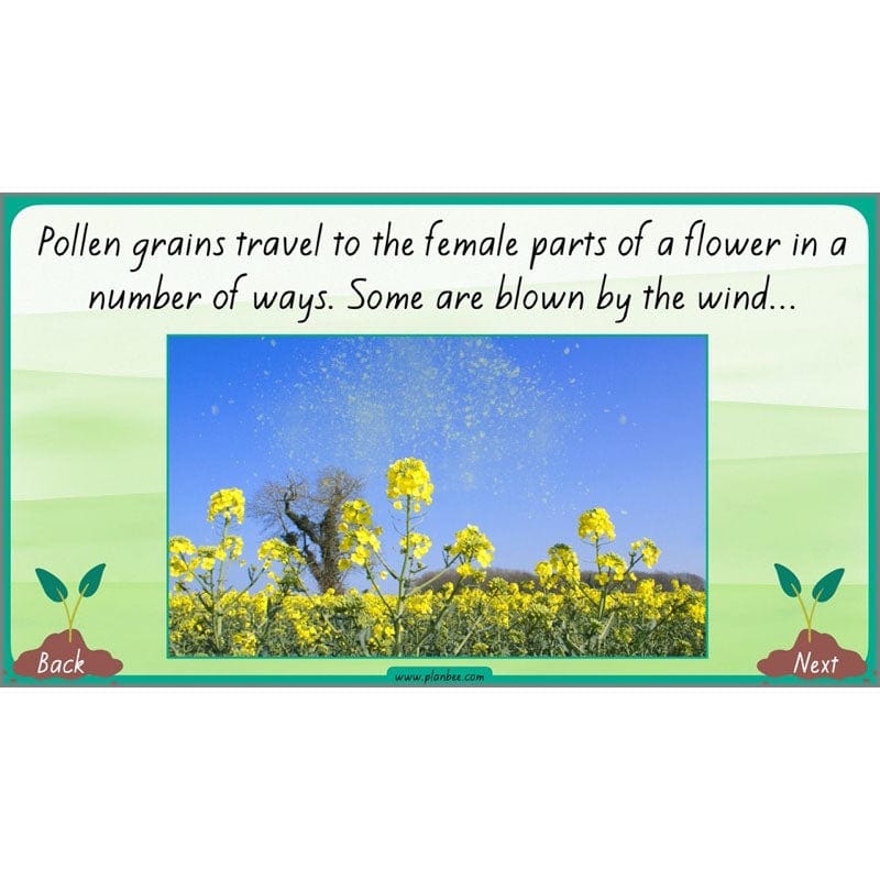 How Plants Grow - Image 47
