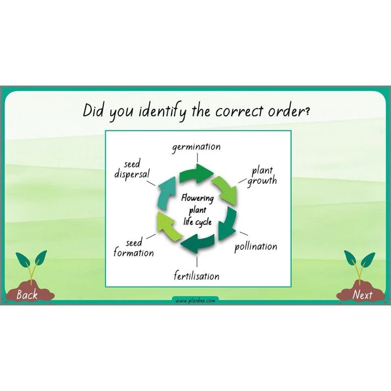 How Plants Grow - Image 53