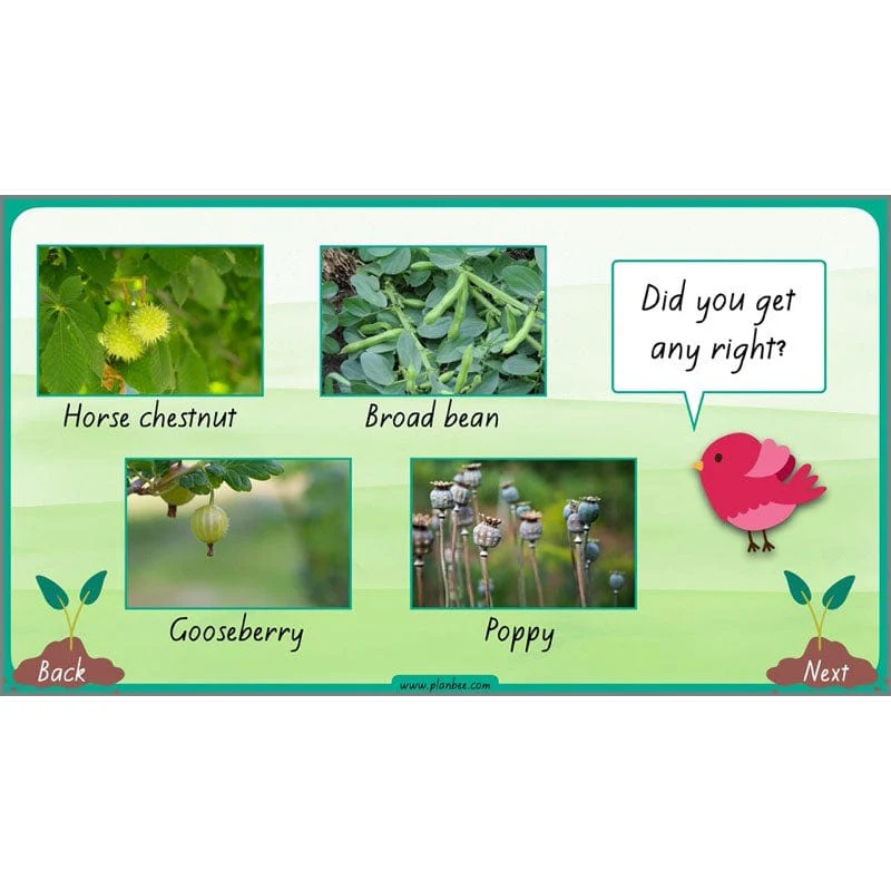 How Plants Grow - Image 54