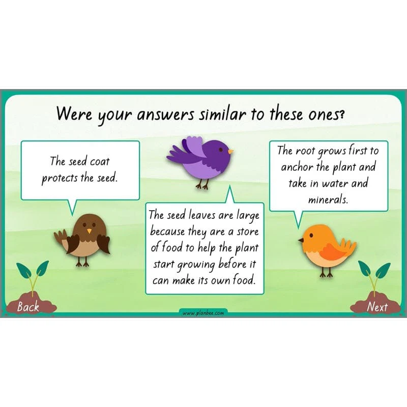 How Plants Grow - Image 63