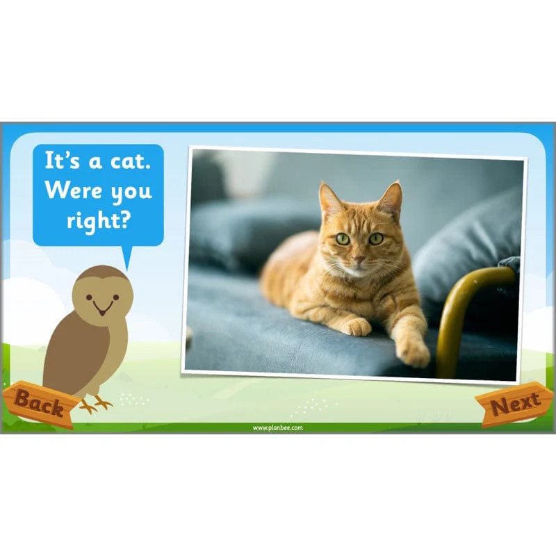 Identifying Animals - Image 21