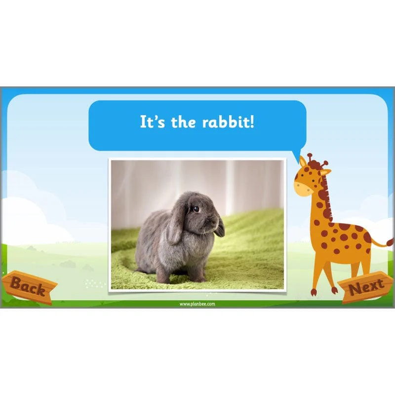 Identifying Animals - Image 23