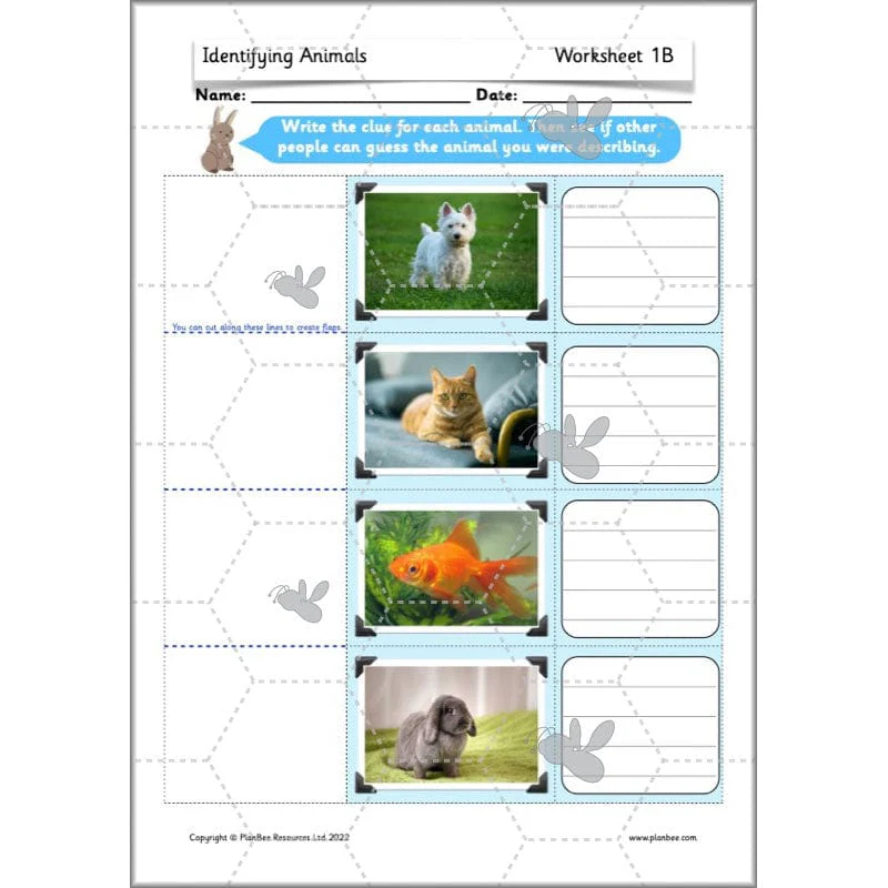Identifying Animals - Image 24