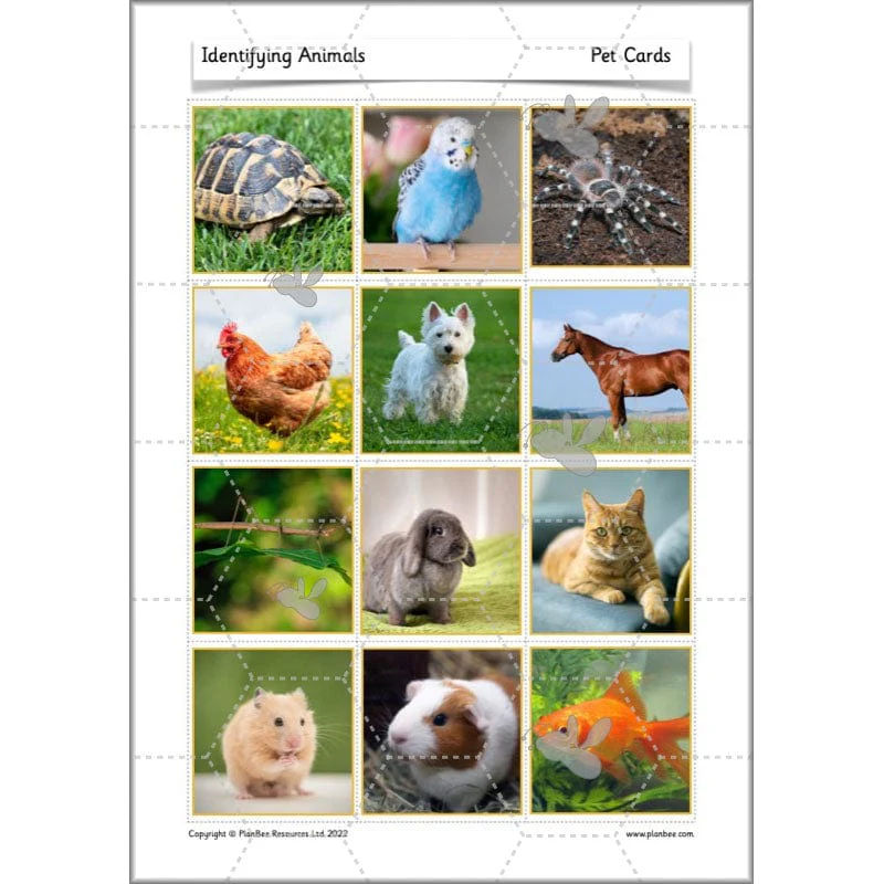 Identifying Animals - Image 25