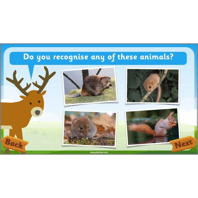 Identifying Animals - Image 28