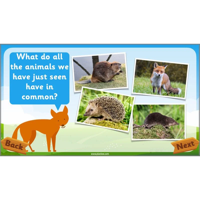 Identifying Animals - Image 29