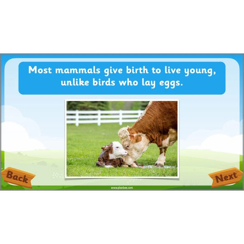 Identifying Animals - Image 30