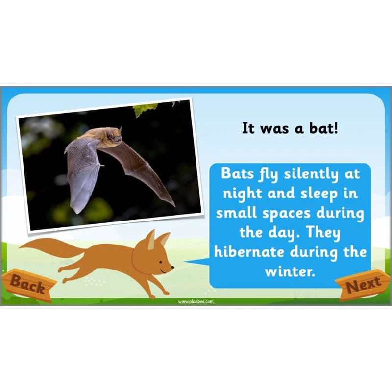 Identifying Animals - Image 31