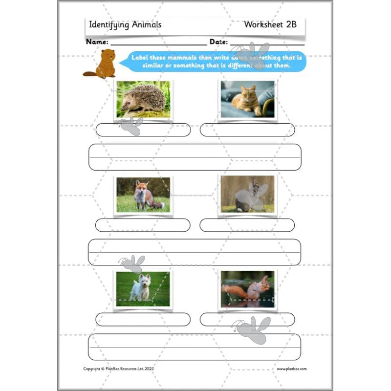Identifying Animals - Image 32