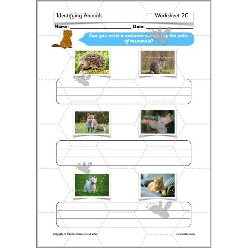 Identifying Animals - Image 33