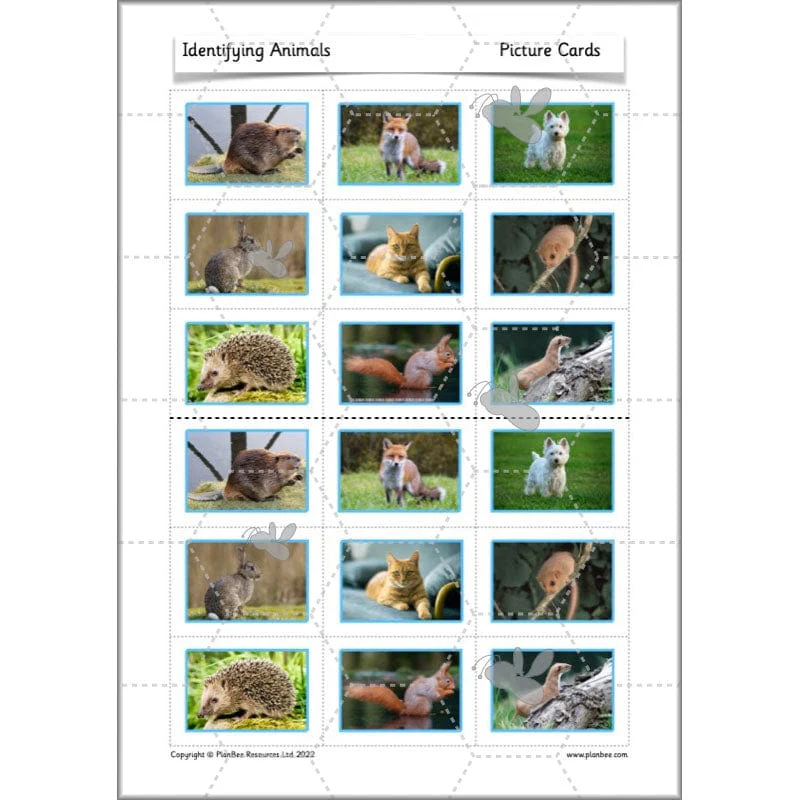 Identifying Animals - Image 34