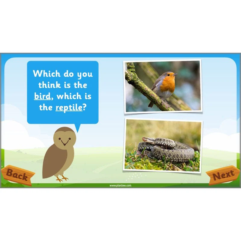 Identifying Animals - Image 36