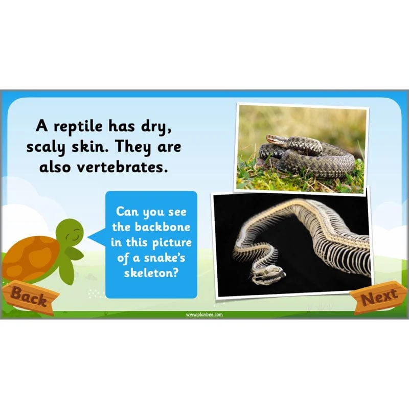 Identifying Animals - Image 37