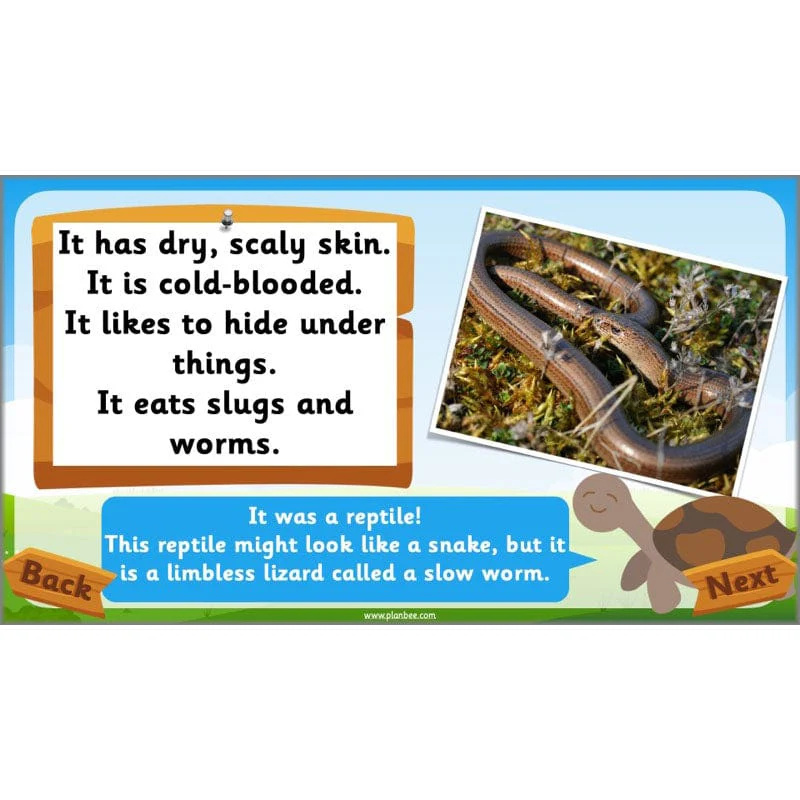 Identifying Animals - Image 39
