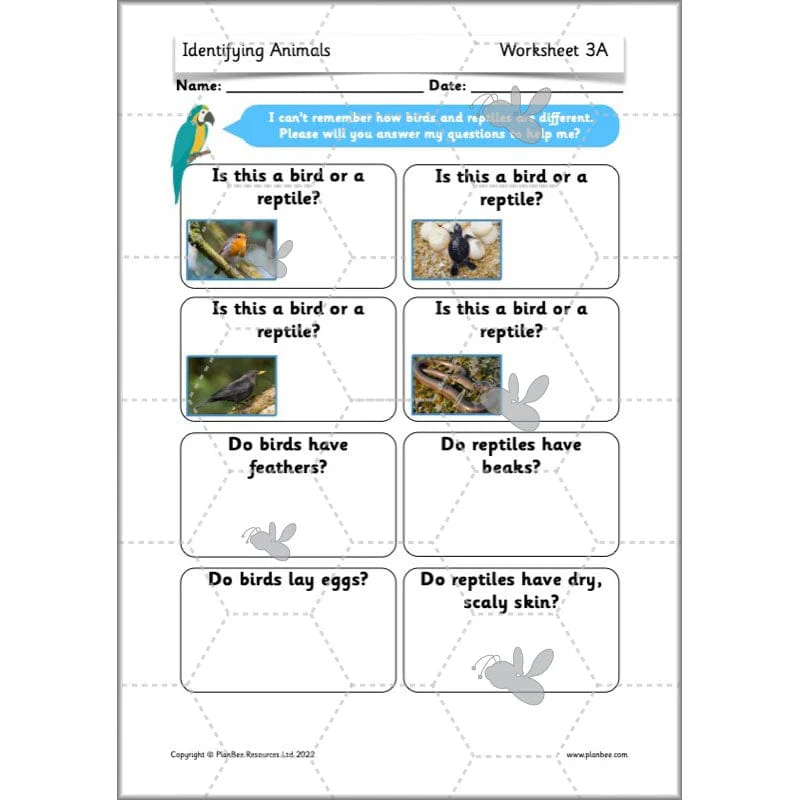 Identifying Animals - Image 40