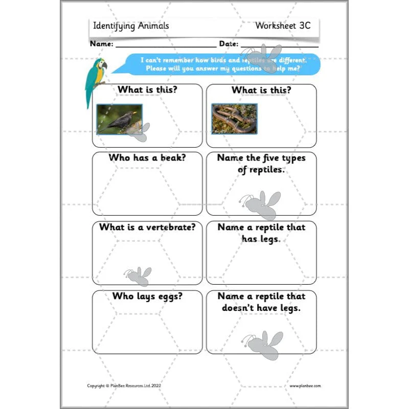 Identifying Animals - Image 41