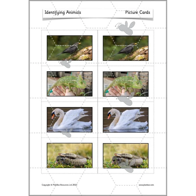 Identifying Animals - Image 42
