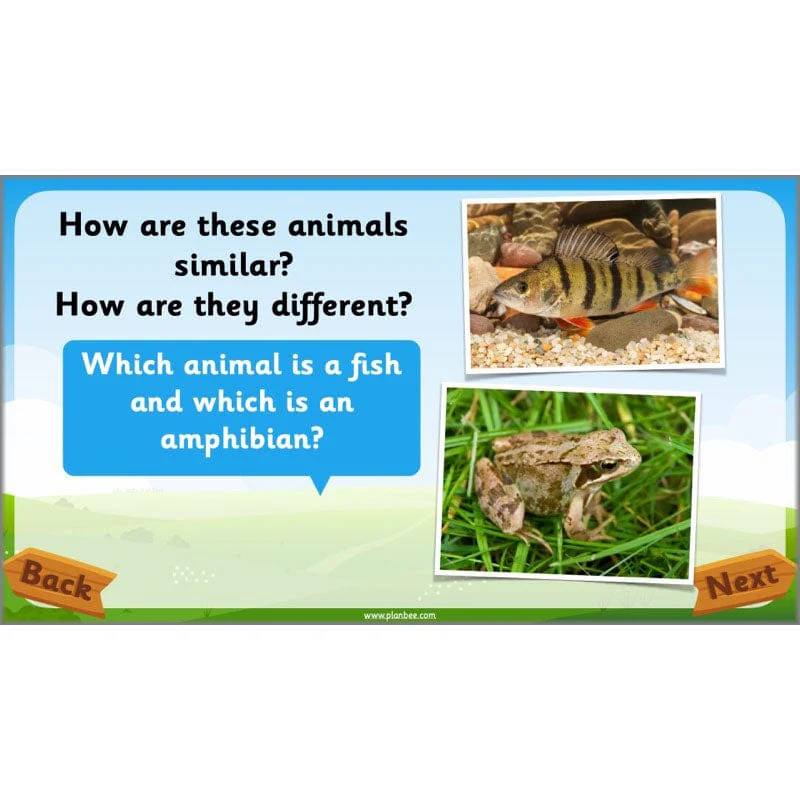 Identifying Animals - Image 44