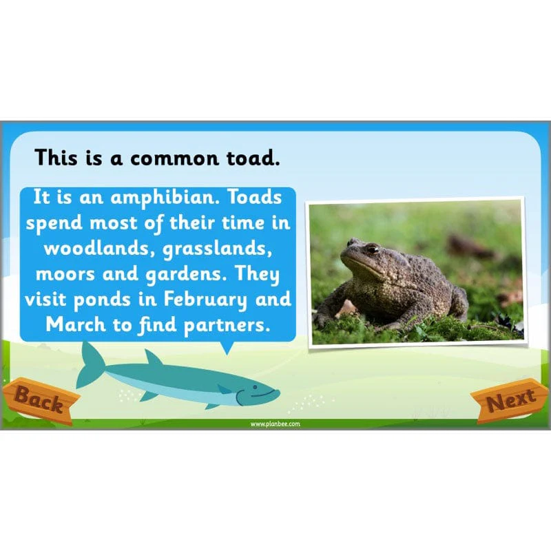 Identifying Animals - Image 45