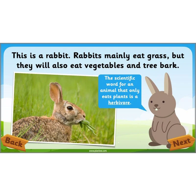 Identifying Animals - Image 52